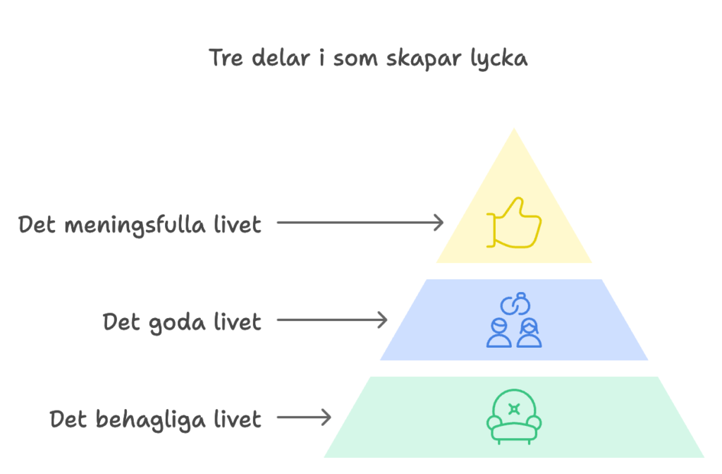 En pyramid med det behagliga livet i botten, det goda livet ett hack upp och det meningsfulla livet högst.